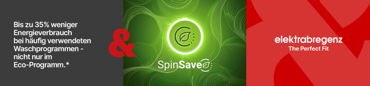 elektrabregenz_SpinSave_1920x450px